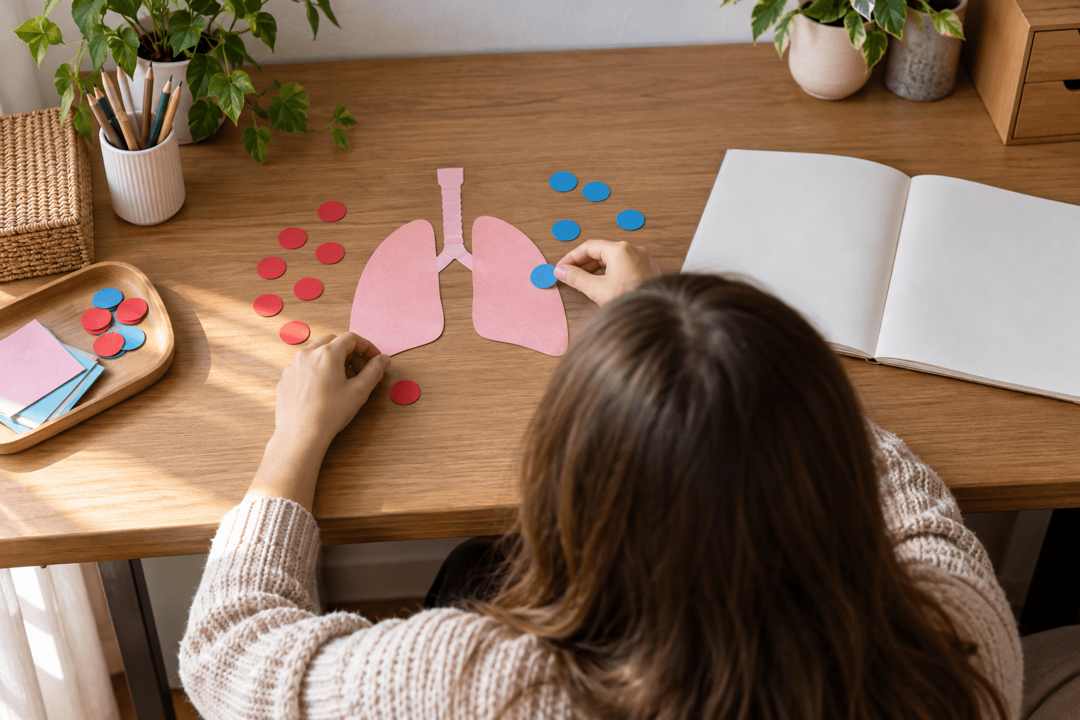 Elev văzut din spate, aranjând forme colorate fără inscripții pentru a studia sistemul respirator